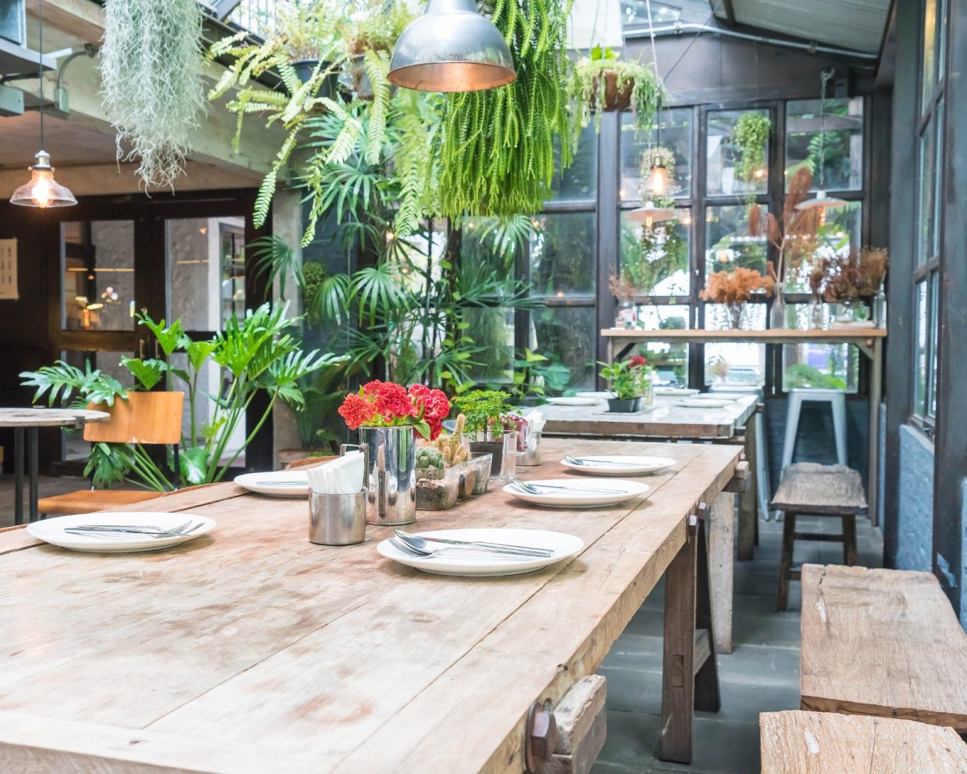 Zed Design ZEDesign Interiors